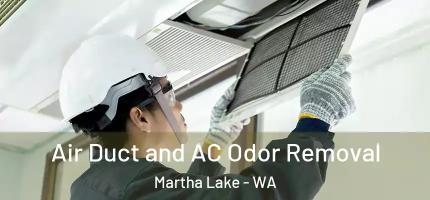  Air Duct and AC Odor Removal Martha Lake - WA