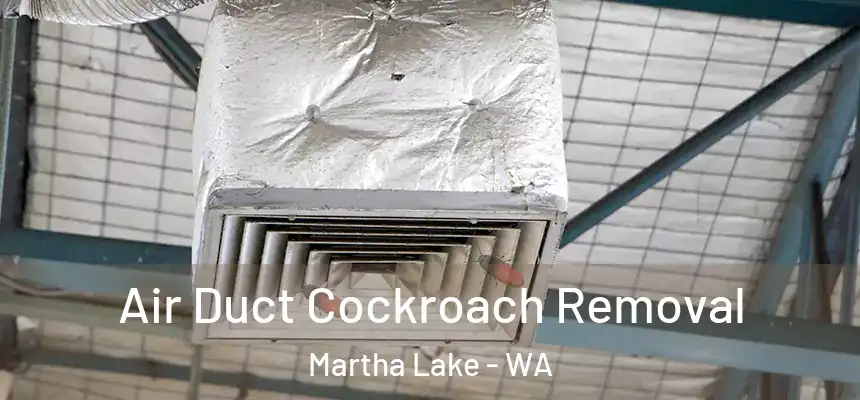  Air Duct Cockroach Removal Martha Lake - WA