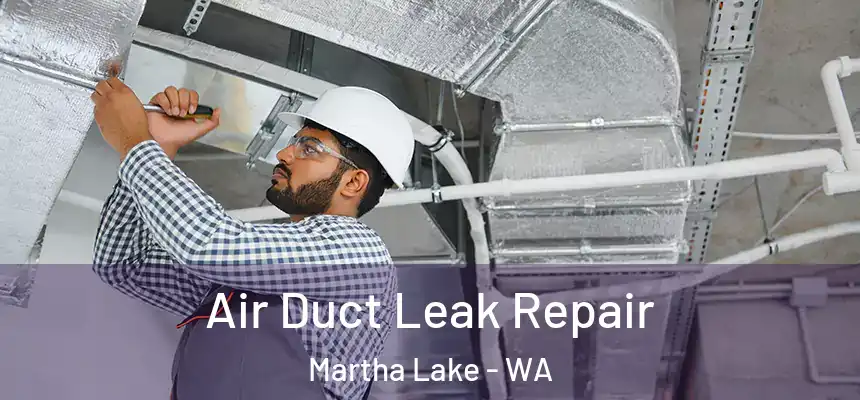  Air Duct Leak Repair Martha Lake - WA