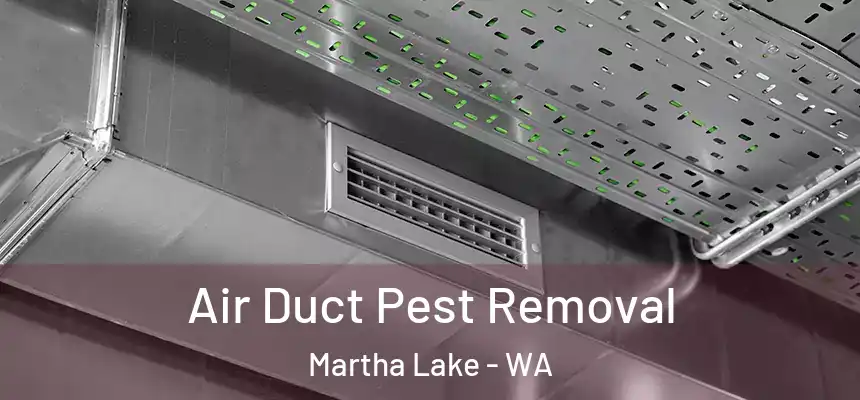  Air Duct Pest Removal Martha Lake - WA