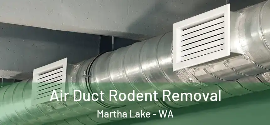  Air Duct Rodent Removal Martha Lake - WA