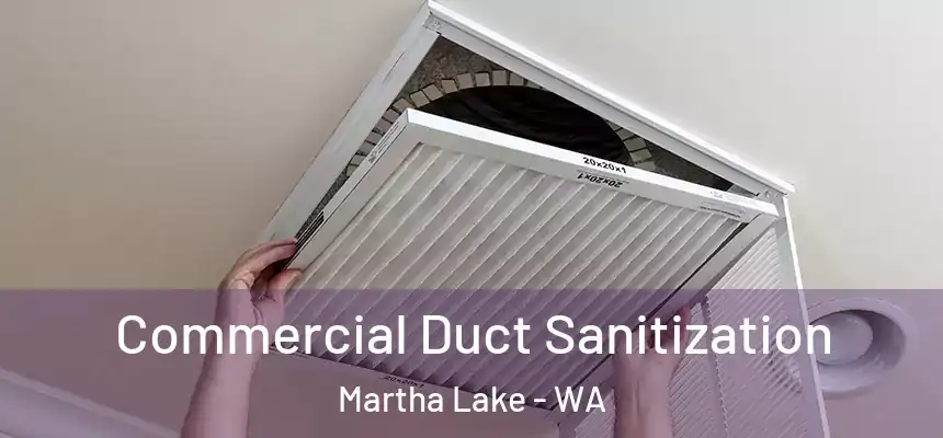Commercial Duct Sanitization Martha Lake - WA