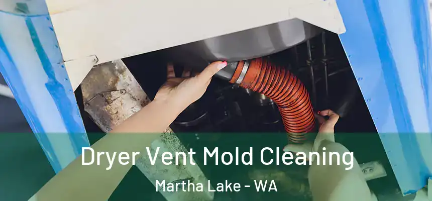 Dryer Vent Mold Cleaning Martha Lake - WA