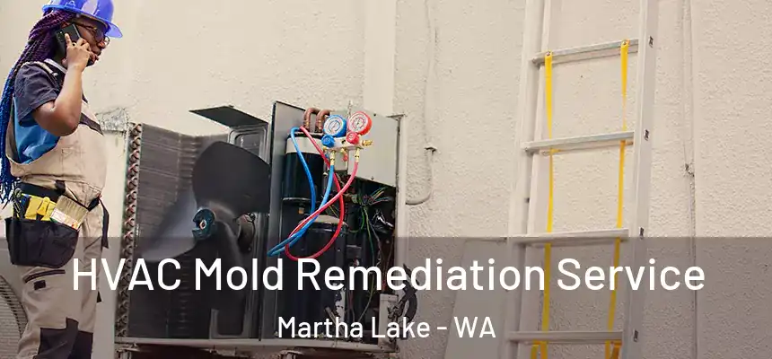  HVAC Mold Remediation Service Martha Lake - WA