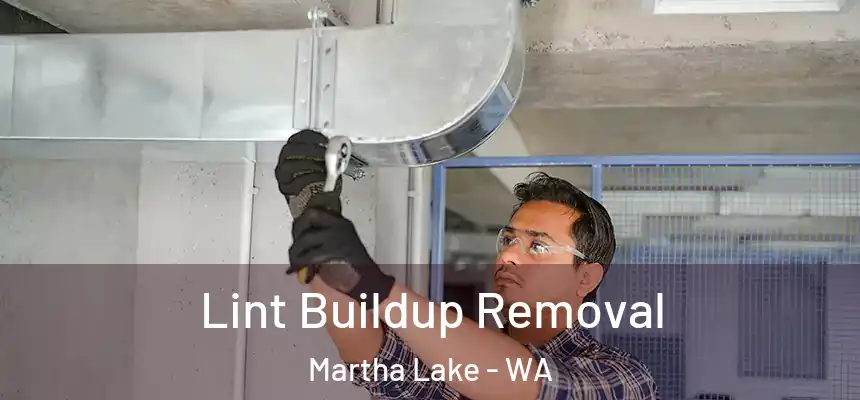 Lint Buildup Removal Martha Lake - WA