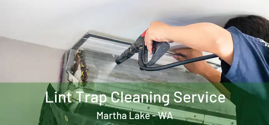  Lint Trap Cleaning Service Martha Lake - WA