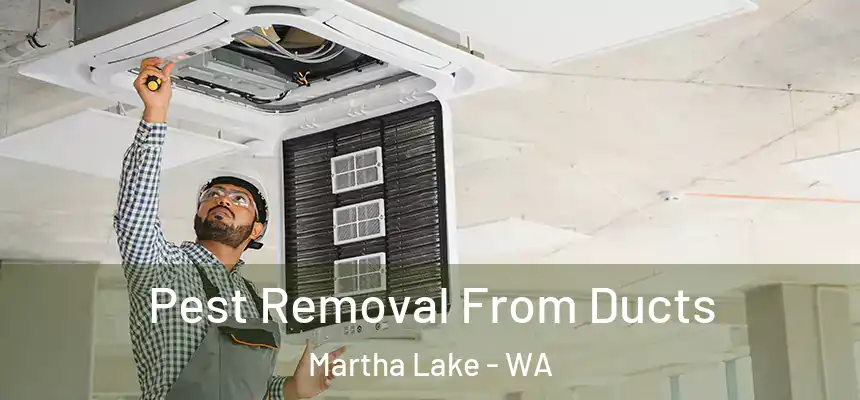  Pest Removal From Ducts Martha Lake - WA