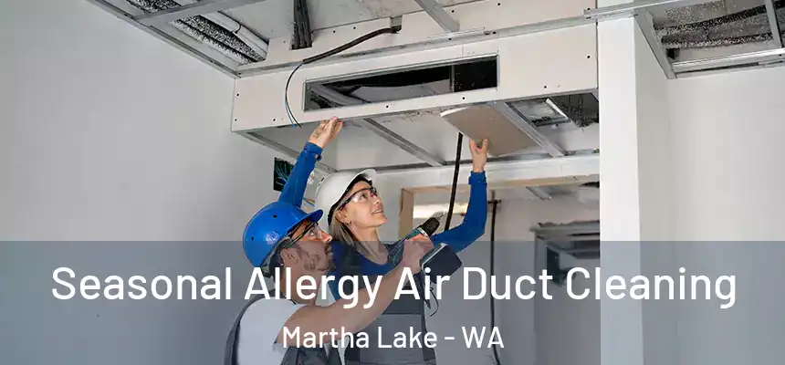  Seasonal Allergy Air Duct Cleaning Martha Lake - WA