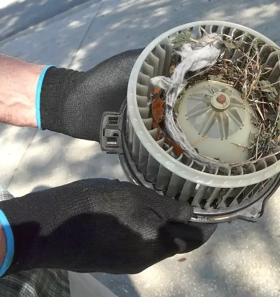 About Air Duct Rat Removal in Martha Lake, WA