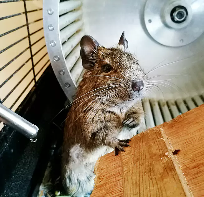 Why Homeowners & Businesses Trust Us Martha Lake, WA?