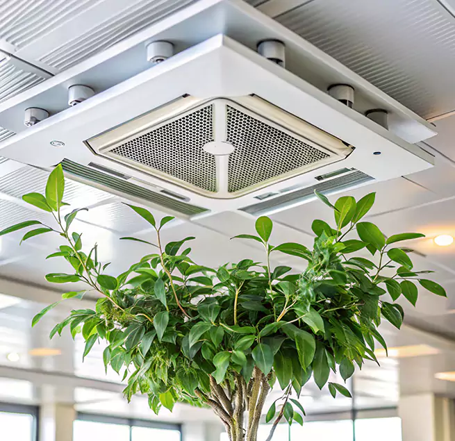 Why Homeowners & Businesses Trust Us in Martha Lake, WA