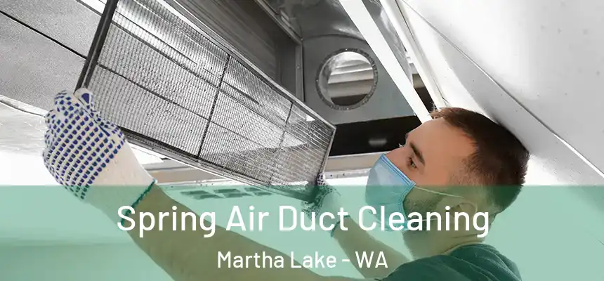 Spring Air Duct Cleaning Martha Lake - WA